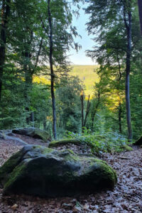 Eifel Wanderung